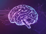 AdobeStock Brain Health Online